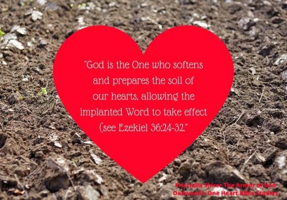 Week 3 Questions Canvas